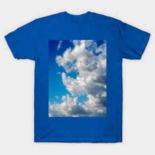 Cloudy day in Heaven T-Shirt